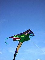 2008 KiteFestival-021.jpg